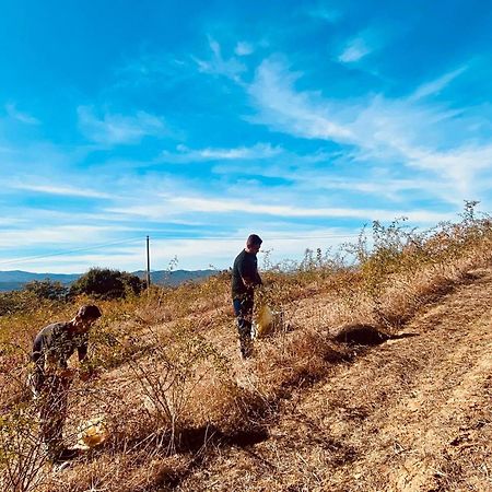 Agriturismo Il Riccio Monticchio  Kültér fotó