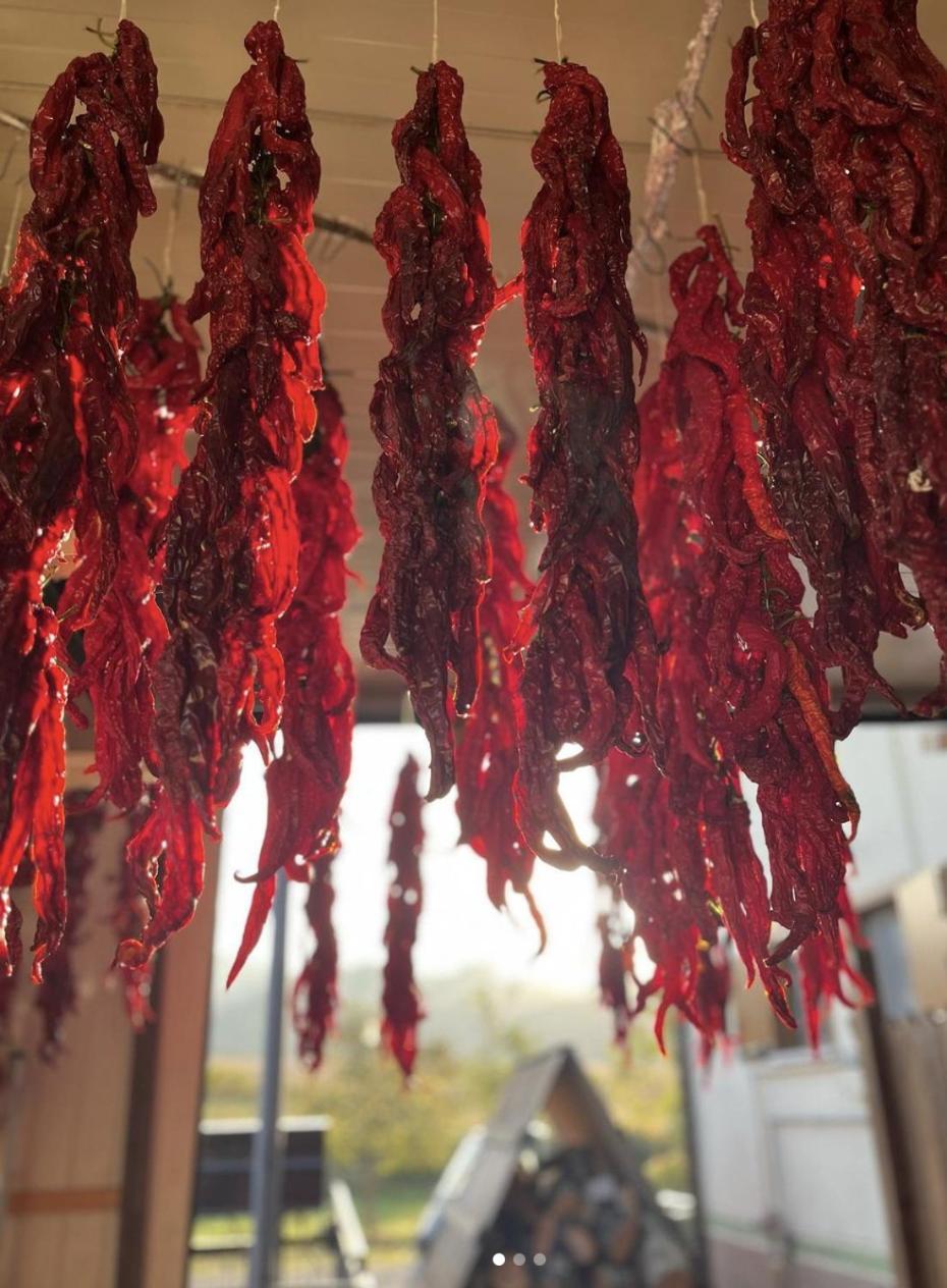 Agriturismo Il Riccio Monticchio  Kültér fotó