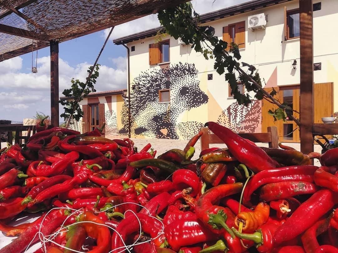 Agriturismo Il Riccio Monticchio  Kültér fotó
