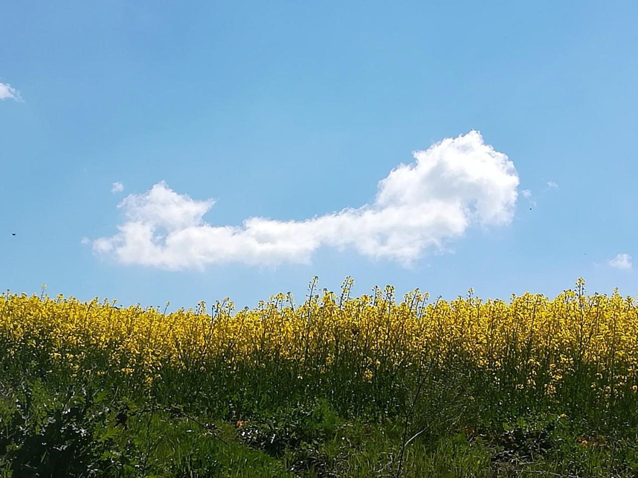 Agriturismo Il Riccio Monticchio  Kültér fotó