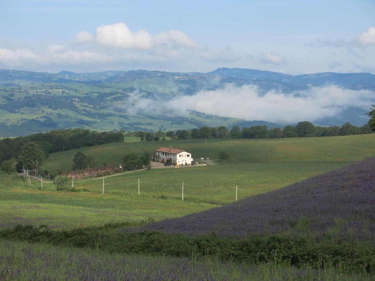Agriturismo Il Riccio Monticchio  Kültér fotó