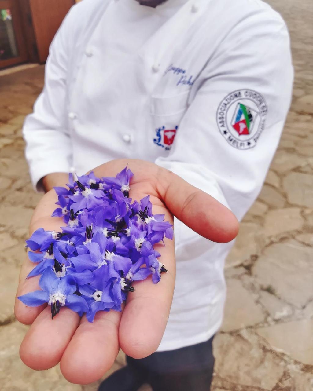 Agriturismo Il Riccio Monticchio  Kültér fotó