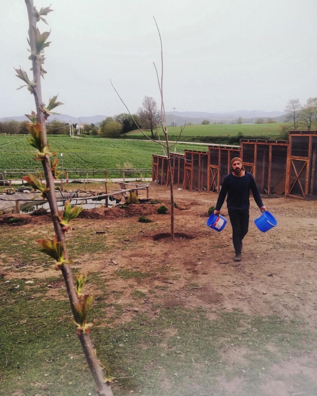 Agriturismo Il Riccio Monticchio  Kültér fotó